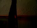 Testing the New Cock Cam