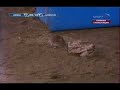 Un topo in Genoa-Juventus ( A mouse in Marassi)