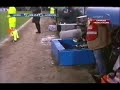 Un topo in Genoa-Juventus ( A mouse in Marassi)