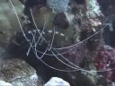 Bonaire 2005 - Good Friends, Good SCUBA, Good Gracious! HQ