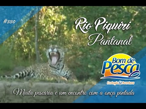 Dourado, Tucunaré, Pacu - Muitos peixes e um encontro com a onça pintada