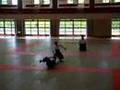 Aikido Aishinkan: Tanimoto sensei demo in Kochi 合気道合心館谷本館長