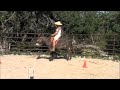 Riding Donkey Savannah