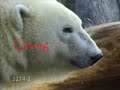 Global Warming- Our Planet In Crissis Global Warming- Our Planet In Crissis