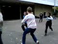 felo vs leon