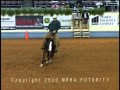 Hesa Smoker - 2007 gelding