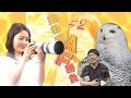 【SONY α7III 動物瞳AF対決！】小熊アナVSカメラのキタムラ 動物撮影5番勝負 ＃2 第一試合はシロフクロウ！果たして動物瞳AFは使えるのか？