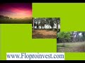 SELLING YOUR Home with Tampa Real Estate Discount Brokerage