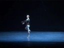 La Bayadere Tamas Nagy Variation Het Nationale Ballet