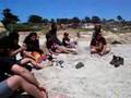 Mutates en la Playa