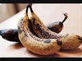Monk Monkey Banana Farm Advertisement Monk Monkey Banana Farm Advertisement