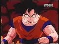 Dragon Ball Z (The Ocean Group Cast):