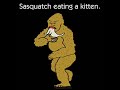 sasquatch eating a kitten (REAL FOOTAGE!!! 2008)