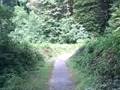 videos de DriveAbout 115 - Redwood National Park, CA FUNNY