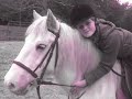 toryy
