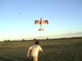 videos de gillefun 0013