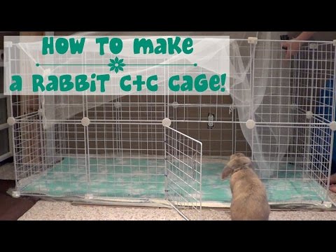 how to build rabbit cages
