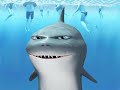 hillaious. make you pee your pants ... comedy sharks UFGatorBoy09 funnysharks sharkattacks 