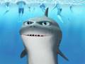 funny shark