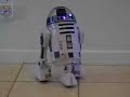 R2-D2 With Cameo by Bubba the Cat As Darth Vader R2-D2 With Cameo by Bubba the Cat As Darth Vader