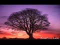Yanni - So Long My Friend (Played without notes) Yanni - So Long My Friend (Played without notes)