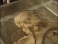 Museum of Death Bangkok, Thailand Part 2