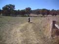 videos de jayke riding his bike 2