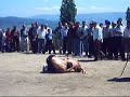 hall? köyünde güre? 3 hall? köyünde güre? 3