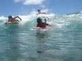 [5] Boogie boarding Bodyboarding Waikiki Walls Coconut Girl