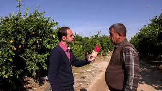 صباح فلسطيني من مدينة بيت لاهيا شمال قطاع غزة