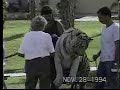 Big Cats in the Circus