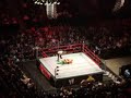 the viper vs kingston.