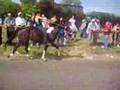 appleby horse fair 9/06/07