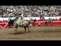 Toro El Tejón en Carnaval Autlan 2012