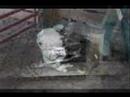Animal Holocaust