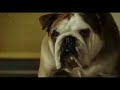 Hotel For Dogs