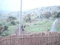 fight monuc got stuck between cndp and fardc