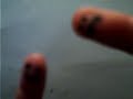 Re: What What in The Butt- Butters Style featuring Youtoob