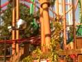 videos de Alex Tomas roller coaster Knotts