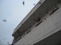 Birds visits my home at Patiala