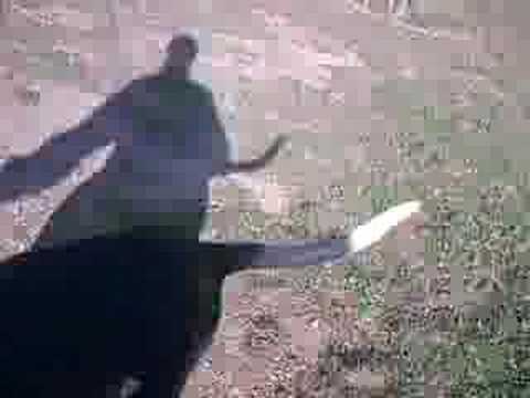 dog argentin