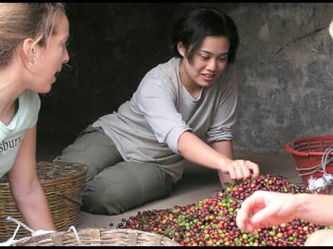 [Video-Stanford's Guatemala Service Learning Trip, 2008-10]