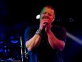 Toxic Brew Sorry Buck Cherry Cover