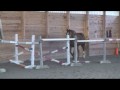 Free Jumping Cosmo Free Jumping Cosmo