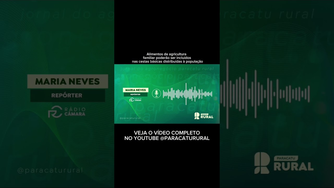 29 de outubro de 2024