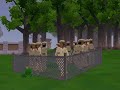 funny zt2  pics