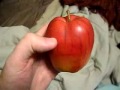 Find fake fruit here www.amazon.com A Fake Apple used in stock photography