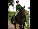 die beste reitbeteiligung de ganzen welt..:)..ghost mein schatzii die beste reitbeteiligung de ganzen welt..:)..ghost mein schatzii
