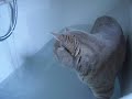 Crazy for water 1