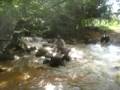 videos de CUATRIAVENTURACOLOMBIA
